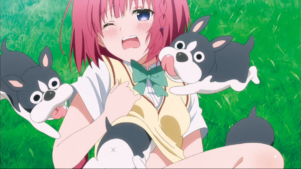 翳りゆく食卓